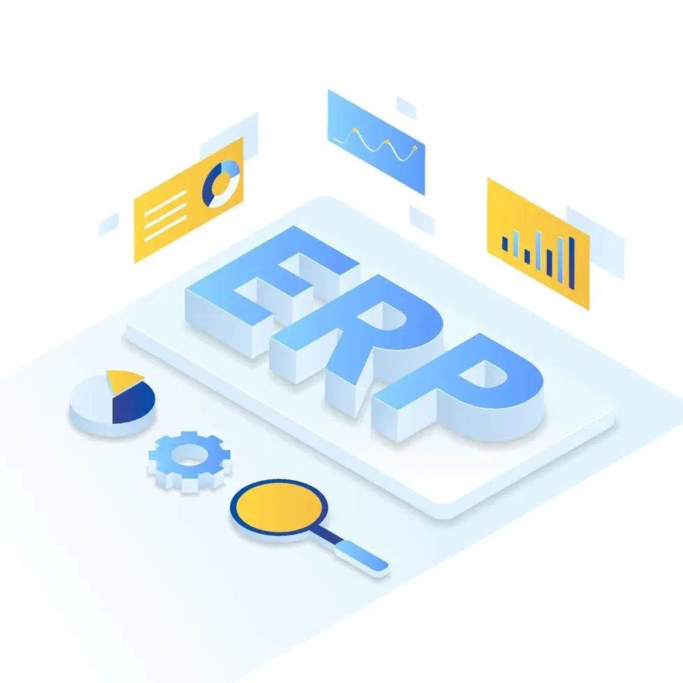 ERP Development Service image