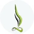 Indian-online-logo